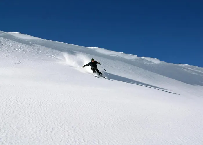 Bluettravel - Zona Baja *