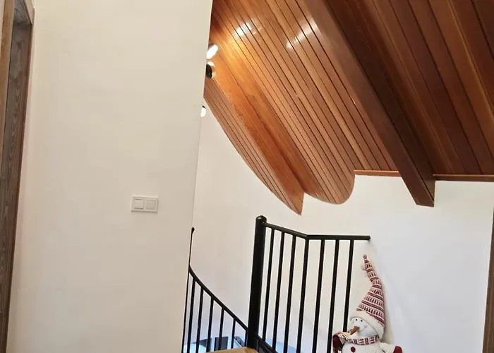 Bluettravel - Zona Baja